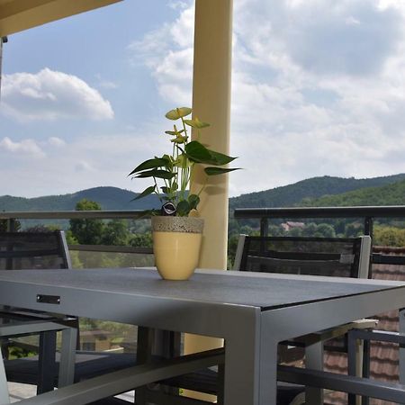 Le Brin D'Osier Apartment Kaysersberg-Vignoble Exterior photo