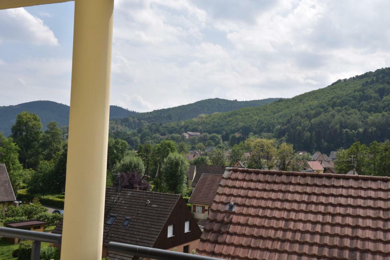 Le Brin D'Osier Apartment Kaysersberg-Vignoble Exterior photo