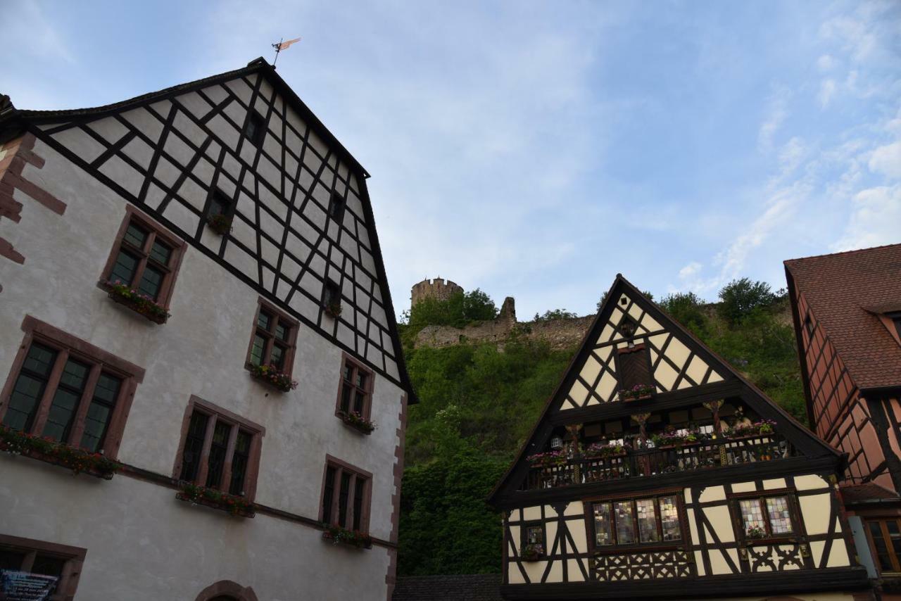 Le Brin D'Osier Apartment Kaysersberg-Vignoble Exterior photo
